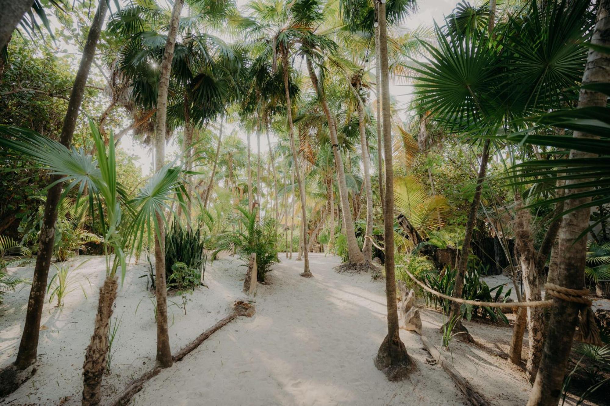 Luxury Penthouse With Private Pool In Aldea Zama Leilighet Tulum Eksteriør bilde
