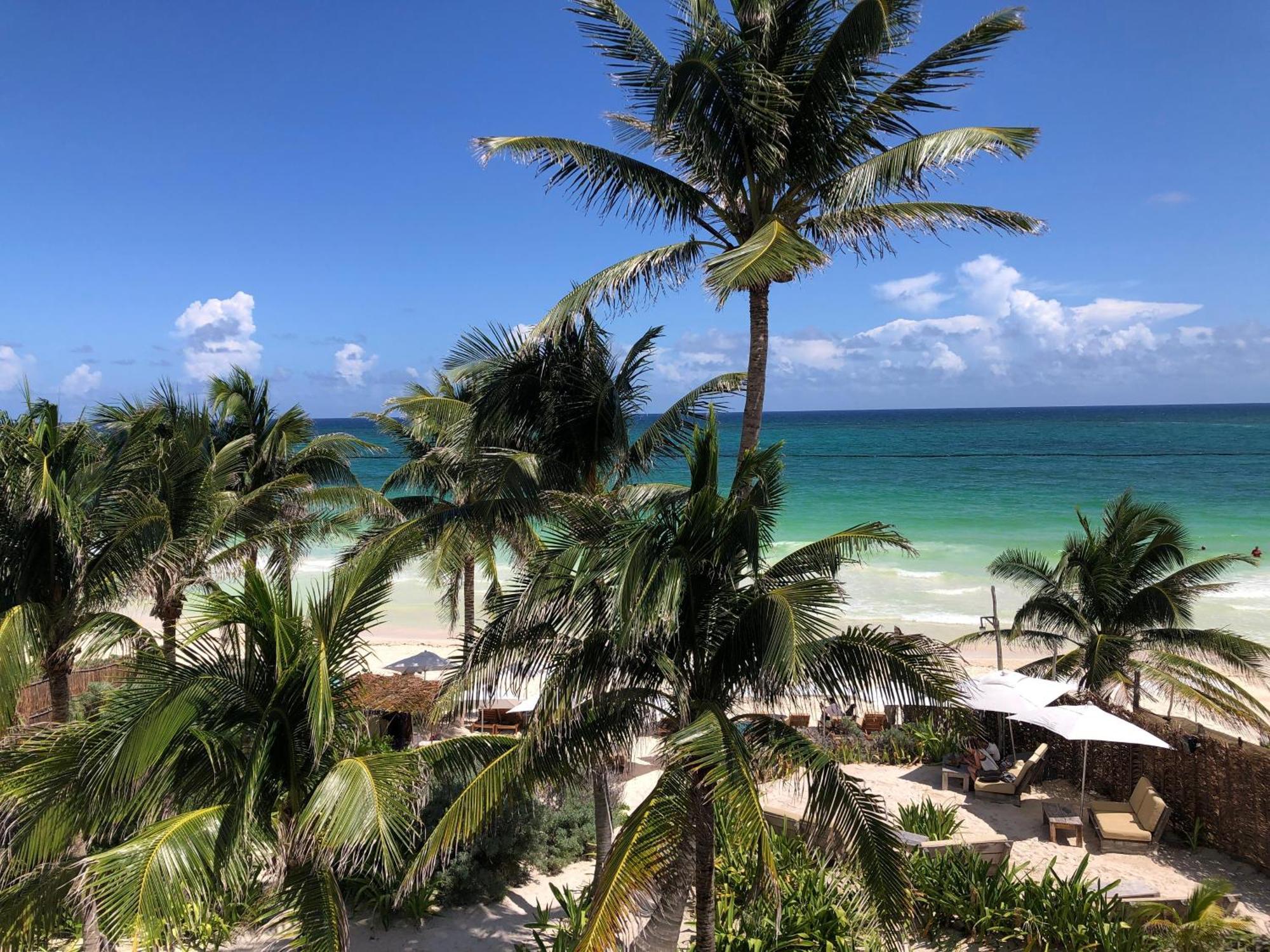 Luxury Penthouse With Private Pool In Aldea Zama Leilighet Tulum Eksteriør bilde
